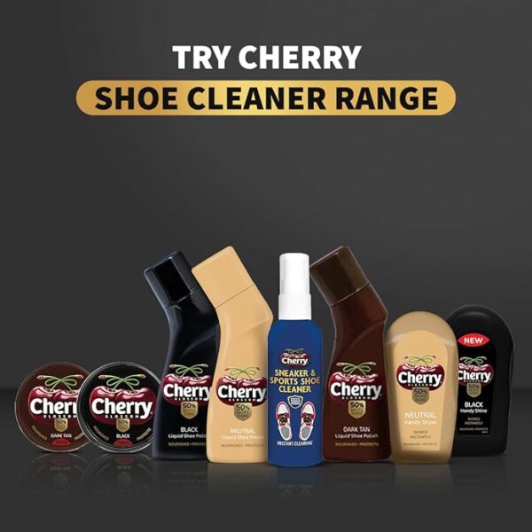 Cherry Blossom Handy Shine – All Colour (Pack of 3)